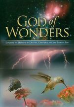 Watch God of Wonders Megavideo