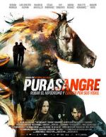 Watch Purasangre Megavideo