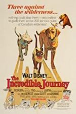 Watch The Incredible Journey Megavideo