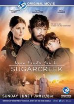 Watch Love Finds You in Sugarcreek Megavideo