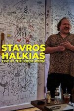 Watch Stavros Halkias: Live at the Lodge Room (TV Special 2022) Megavideo