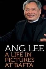 Watch A Life in Pictures Ang Lee Megavideo