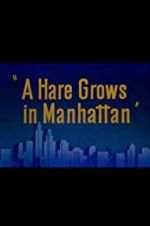 Watch A Hare Grows in Manhattan Megavideo