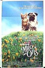 Watch Milo & Otis Megavideo