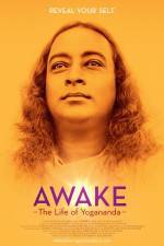 Watch Awake: The Life of Yogananda Megavideo