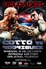 Watch Miguel Cotto vs Delvin Rodriguez Megavideo