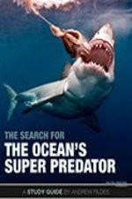 Watch The Search for the Oceans Super Predator Megavideo