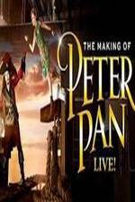 Watch The Making of Peter Pan Live Megavideo