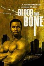 Watch Blood and Bone Megavideo