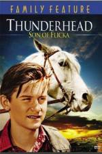 Watch Thunderhead - Son of Flicka Megavideo