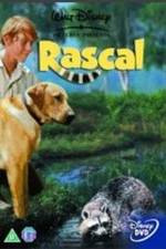 Watch Rascal Megavideo