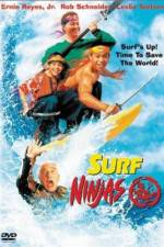 Watch Surf Ninjas Megavideo