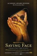 Watch Saving Face Megavideo