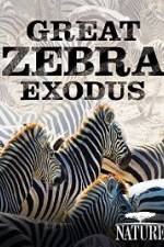 Watch Nature: Great Zebra Exodus Megavideo