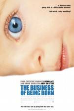 Watch The Business of Being Born Megavideo