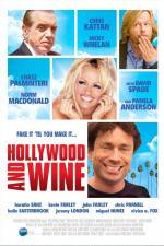 Watch Hollywood & Wine Megavideo