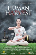 Watch Human Harvest Megavideo