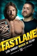 Watch WWE Fastlane Megavideo