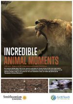 Watch Incredible Animal Moments Megavideo