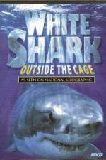 Watch National Geographic white shark:outside the cage Megavideo