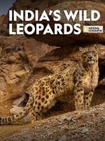 Watch India\'s Wild Leopards (Short 2020) Megavideo