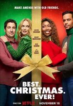 Watch Best. Christmas. Ever! Megavideo