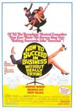 Watch How to Succeed in Business Without Really Trying Megavideo