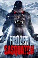 Watch Frozen Sasquatch Megavideo