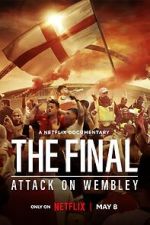 Watch The Final: Attack on Wembley Megavideo