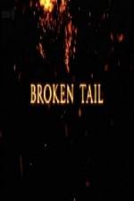 Watch A Tiger Called Broken Tail Megavideo