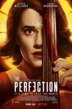 Watch The Perfection Megavideo