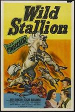 Watch Wild Stallion Megavideo