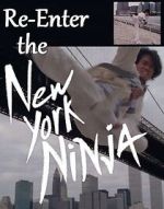 Watch Re-Enter the New York Ninja Megavideo