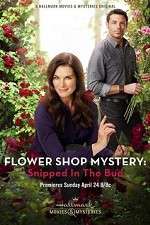 Watch Flower Shop Mystery: Snipped in the Bud Megavideo