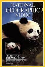 Watch Secrets of the Wild Panda Megavideo