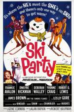 Watch Ski Party Megavideo