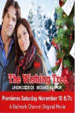 Watch The Wishing Tree Megavideo