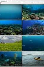 Watch National Geographic: Pacific Ocean Paradise Megavideo