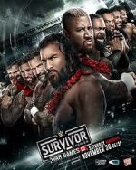 Watch WWE Survivor Series WarGames (TV Special 2024) Megavideo