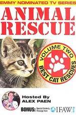 Watch Animal Rescue, Volume 2: Best Cat Rescues Megavideo