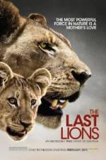 Watch The Last Lions Megavideo