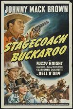 Watch Stagecoach Buckaroo Megavideo