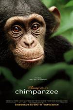 Watch Chimpanzee Megavideo