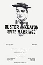 Watch Spite Marriage Megavideo