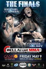 Watch Bellator 119  Weichel vs. Green Megavideo