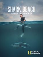 Watch Shark Beach with Chris Hemsworth (TV Special 2021) Megavideo