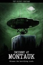 Watch Incident at Montauk Megavideo