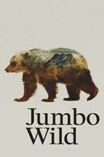 Watch Jumbo Wild Megavideo