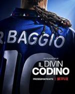 Watch Baggio: The Divine Ponytail Megavideo
