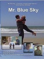 Watch Mr. Blue Sky Megavideo